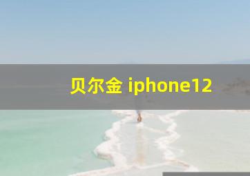 贝尔金 iphone12